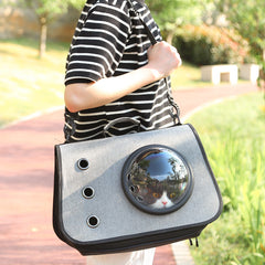 Foldable Cat Backpack with Breathable Mesh Design (Best Seller)