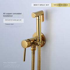 "Wall-Mounted Brass Bidet Sprayer with Titanium Finish"