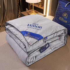 Silk Comforter for Spring and Autumn - Wholesale Supply