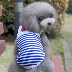 Striped Print Costume for Small (Teddy /Poodle /Pomeranian /Yorky)