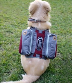 Pet Self-Backpack Portable Travel Bag with Detachable Chest (Trending)
