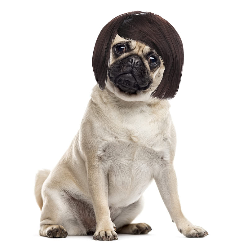 Cobee Funny Dog Cat Cosplay Wig Pet Wig-Adjustable Costume