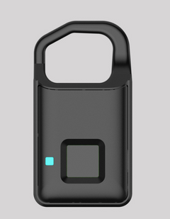 Fingerprint Mini Padlock for Luggage and Travel