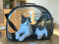 Transparent Pet Carrier, Shoulder Bag, Trendy Handbag