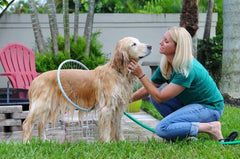 Dog Shower Bathing Ring with Circular Water Gun (Best Seller)