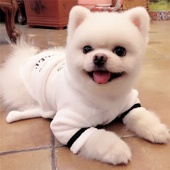 Hooded Pajamas Dog Bathrobe