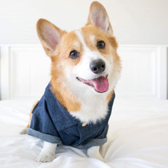 Summer Pet Printed Cotton Outfits for Small Dogs