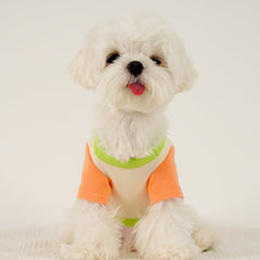 Puppy Dog Color Clash Shirt