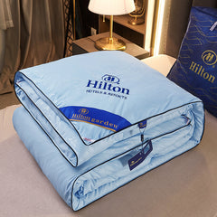 Silk Comforter for Spring and Autumn - Wholesale Supply
