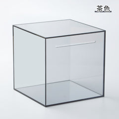 Acrylic Coin Bank