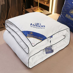 Silk Comforter for Spring and Autumn - Wholesale Supply